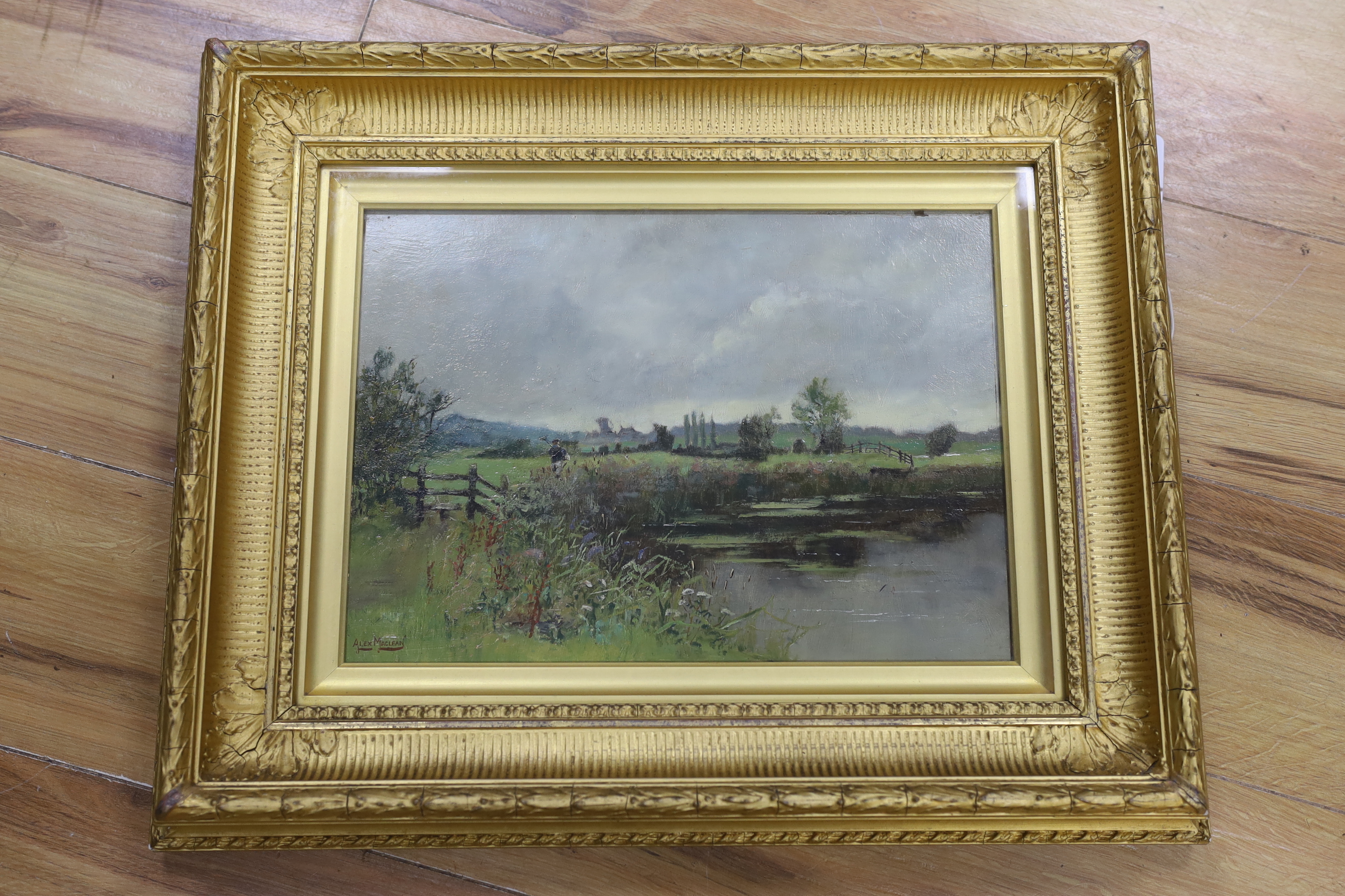 Alex Maclean RBA (1967-1940), oil on board, River landscape, signed, 26 x 36cm, ornate gilt framed